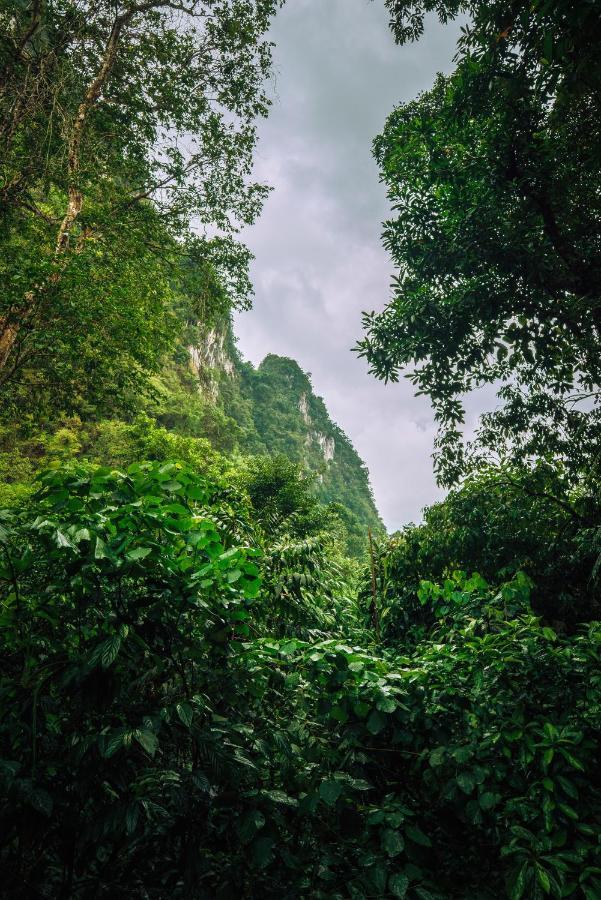 아워 정글 하우스  호텔 Khao Sok National Park 외부 사진
