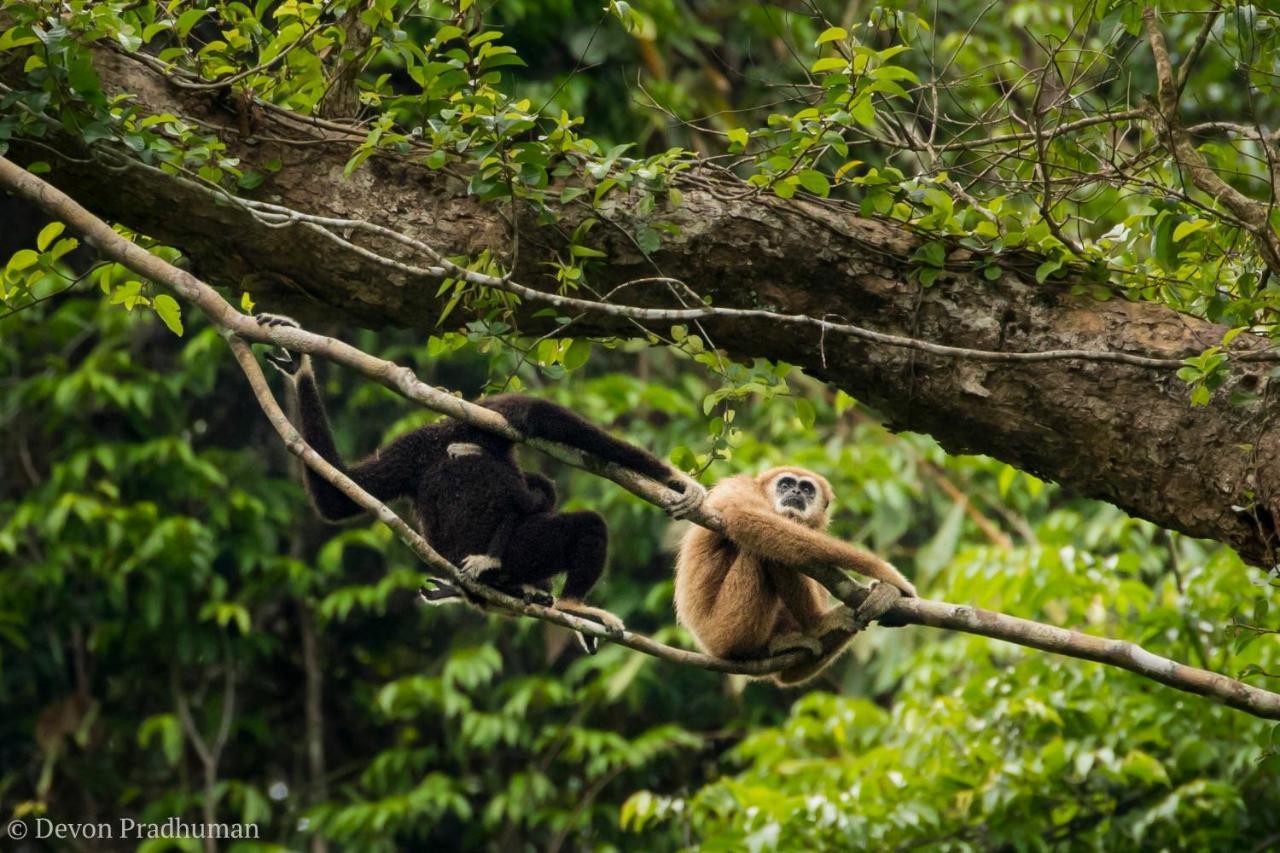 아워 정글 하우스  호텔 Khao Sok National Park 외부 사진
