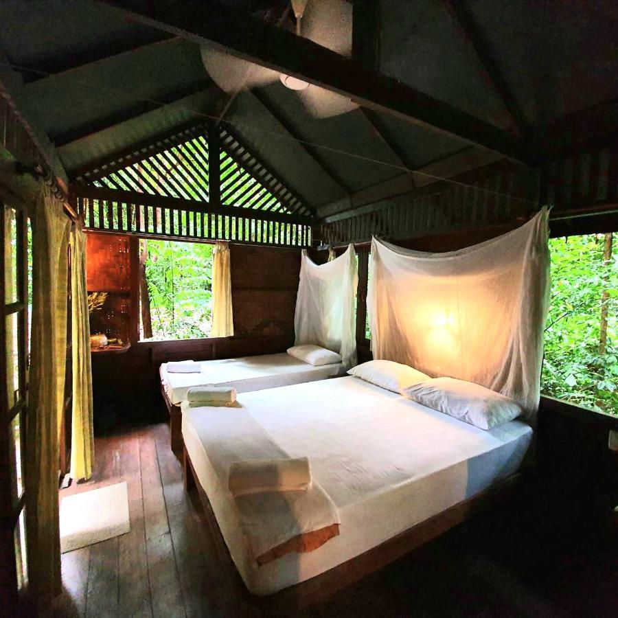 아워 정글 하우스  호텔 Khao Sok National Park 외부 사진