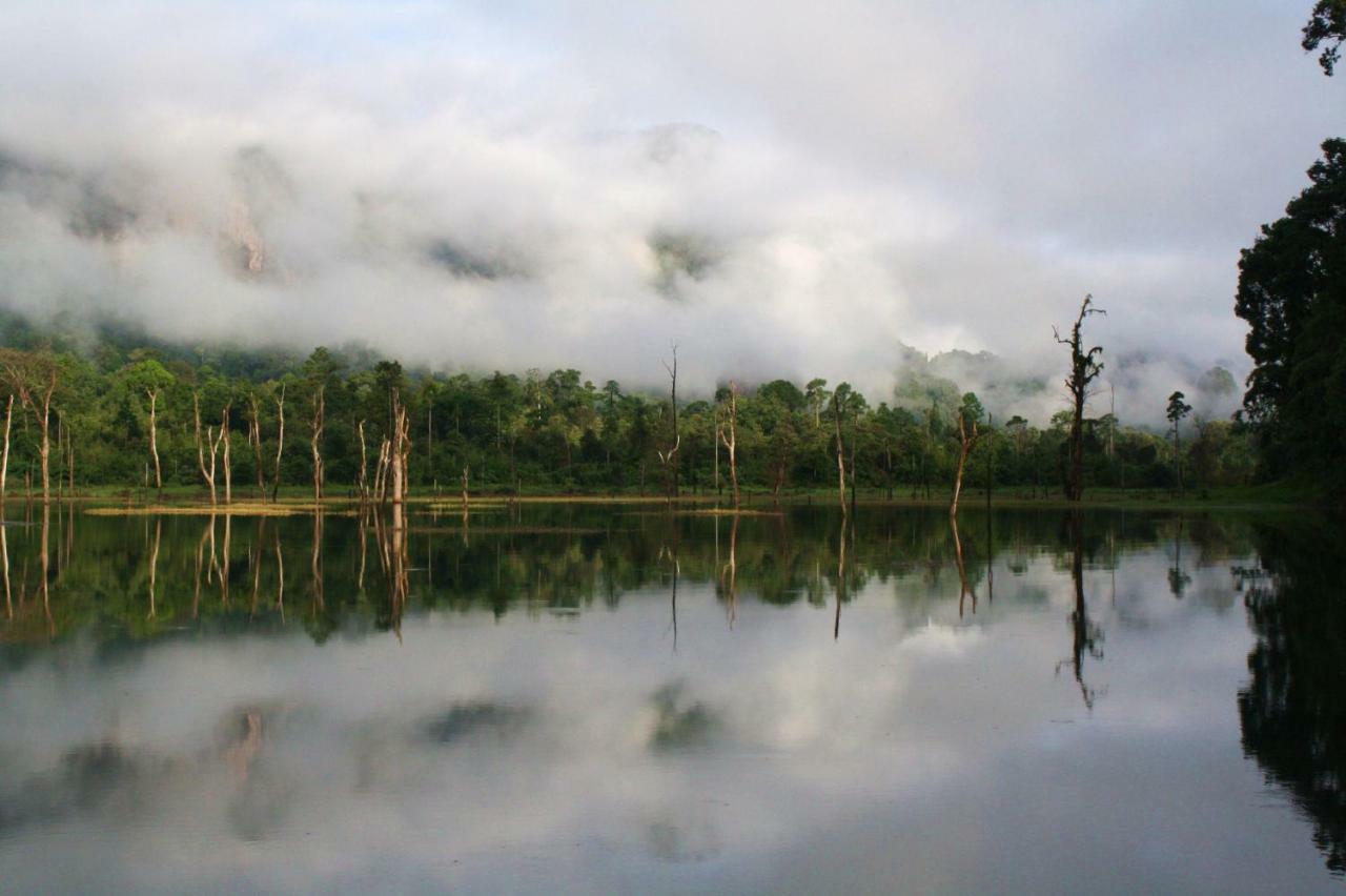 아워 정글 하우스  호텔 Khao Sok National Park 외부 사진